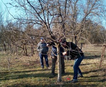 Náučná beseda - Slovenský zväz záhradkárov